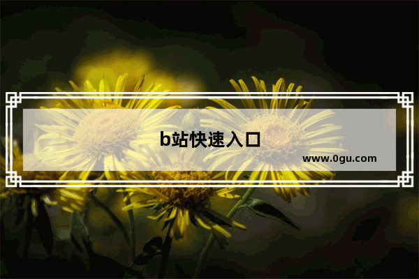b站快速入口