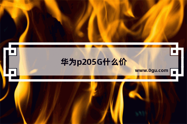 华为p205G什么价