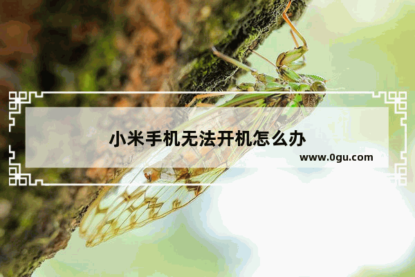 小米手机无法开机怎么办