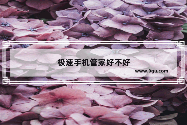 极速手机管家好不好