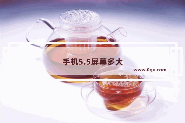 手机5.5屏幕多大