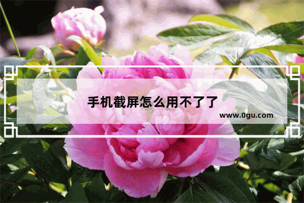 手机截屏怎么用不了了