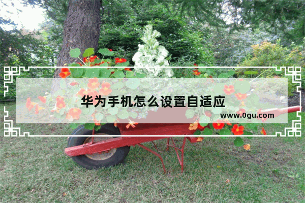 华为手机怎么设置自适应
