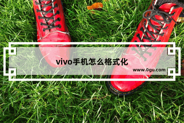 vivo手机怎么格式化