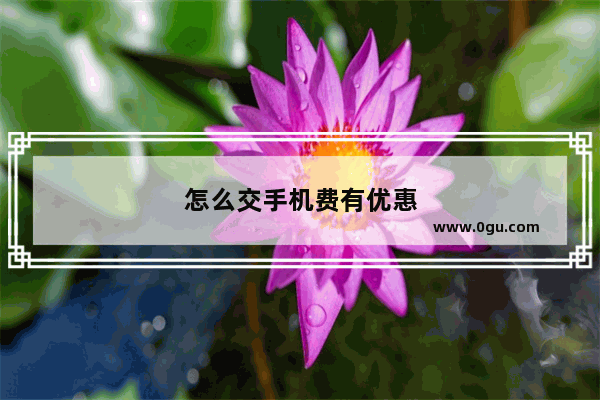 怎么交手机费有优惠