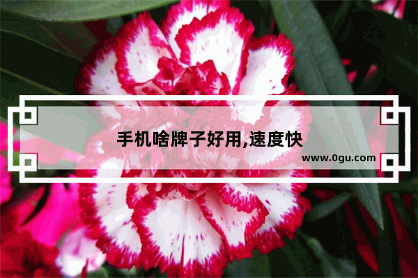 手机啥牌子好用,速度快