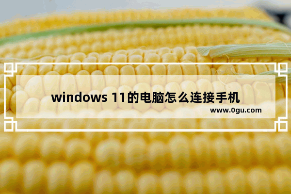 windows 11的电脑怎么连接手机