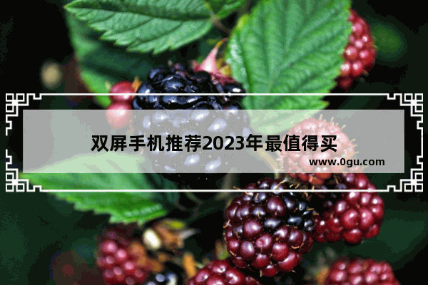 双屏手机推荐2023年最值得买