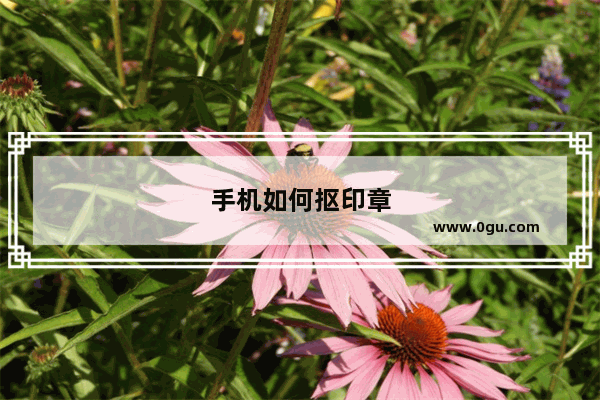 手机如何抠印章