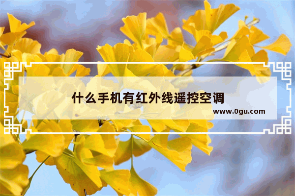什么手机有红外线遥控空调