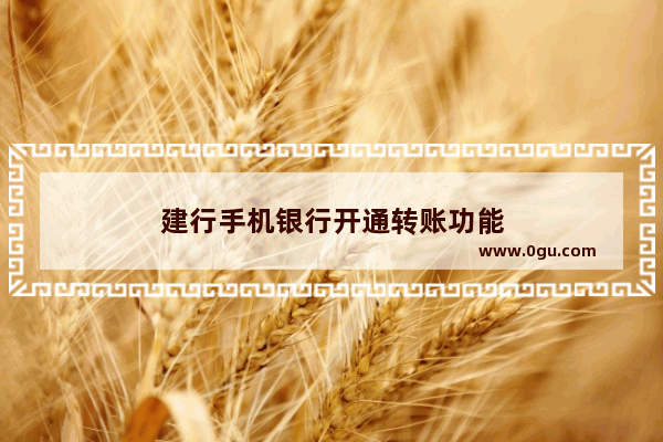 建行手机银行开通转账功能