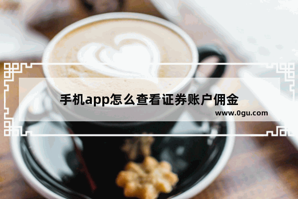 手机app怎么查看证券账户佣金