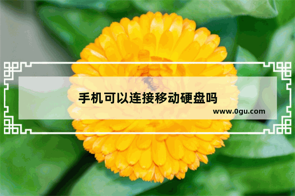 手机可以连接移动硬盘吗
