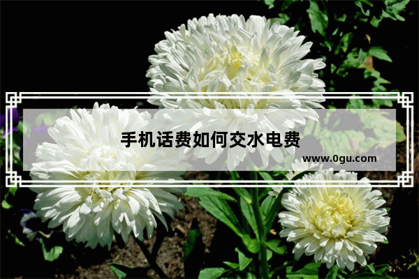 手机话费如何交水电费