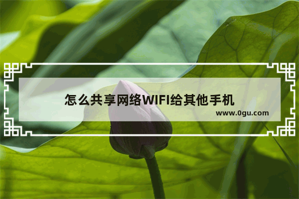 怎么共享网络WIFI给其他手机