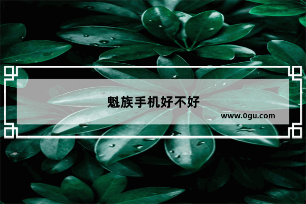 魁族手机好不好