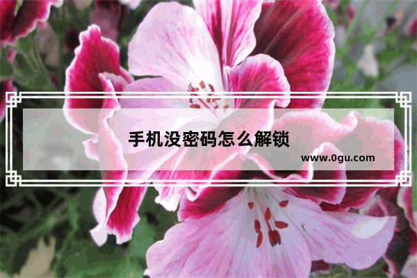 手机没密码怎么解锁