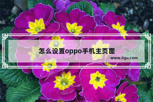 怎么设置oppo手机主页面