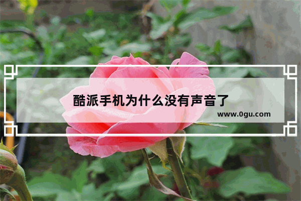 酷派手机为什么没有声音了