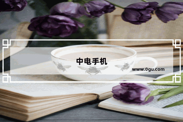 中电手机