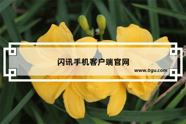闪讯手机客户端官网