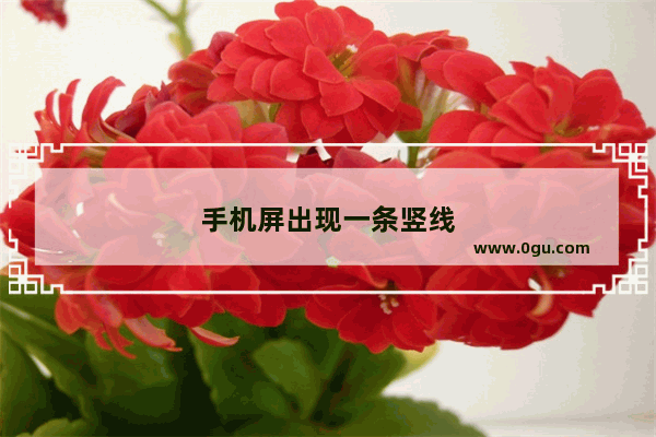 手机屏出现一条竖线