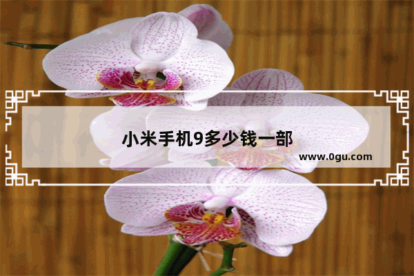 小米手机9多少钱一部