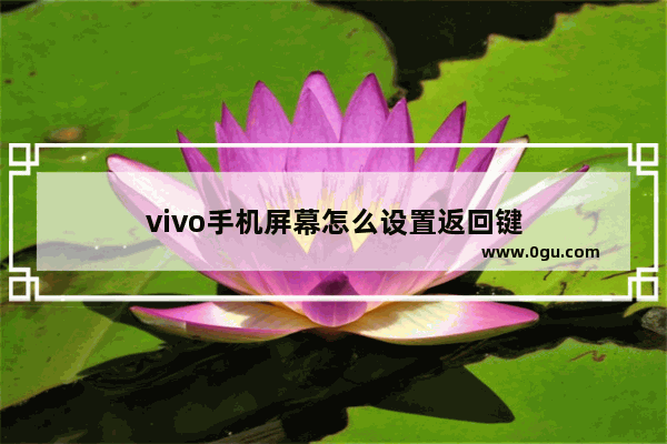 vivo手机屏幕怎么设置返回键