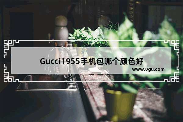Gucci1955手机包哪个颜色好