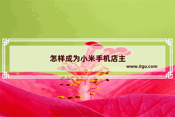 怎样成为小米手机店主