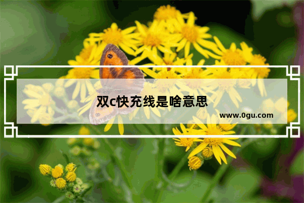 双c快充线是啥意思