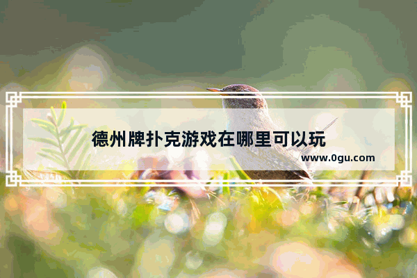 德州牌扑克游戏在哪里可以玩