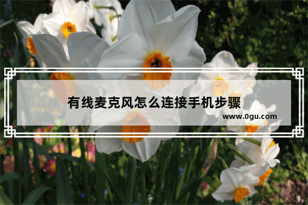 有线麦克风怎么连接手机步骤