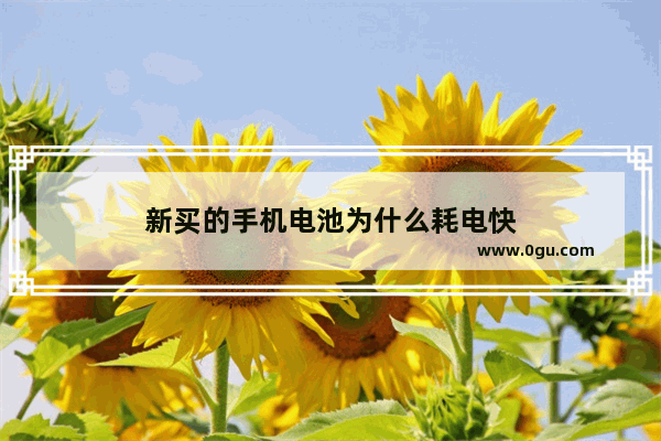 新买的手机电池为什么耗电快