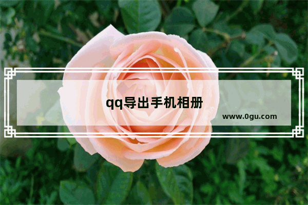 qq导出手机相册
