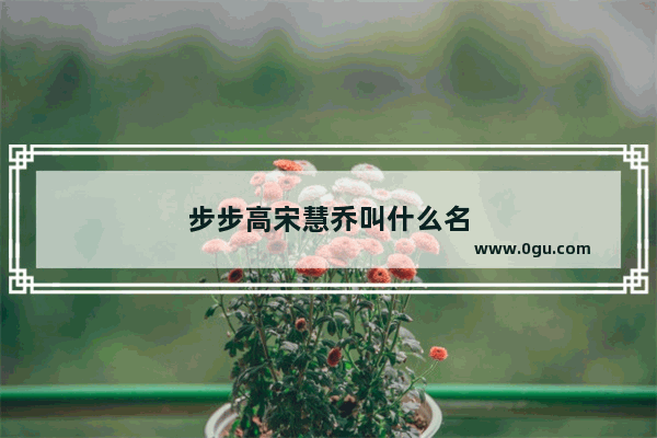 步步高宋慧乔叫什么名