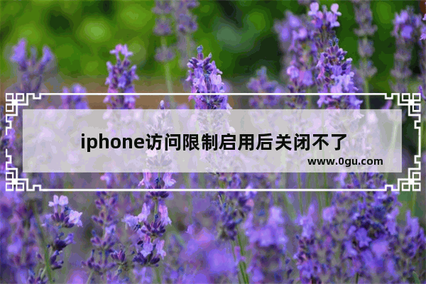 iphone访问限制启用后关闭不了