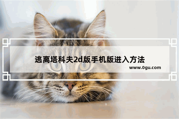 逃离塔科夫2d版手机版进入方法