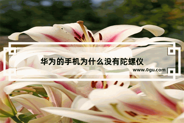 华为的手机为什么没有陀螺仪