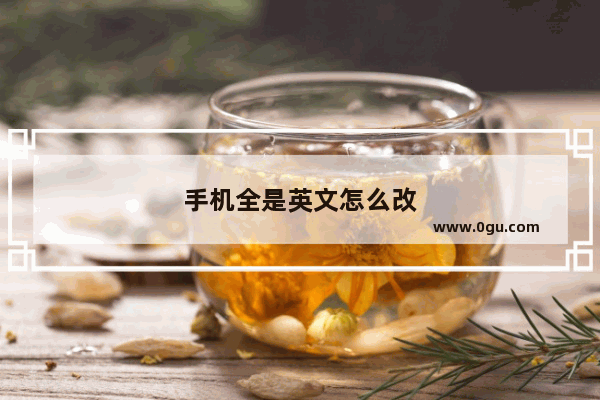 手机全是英文怎么改