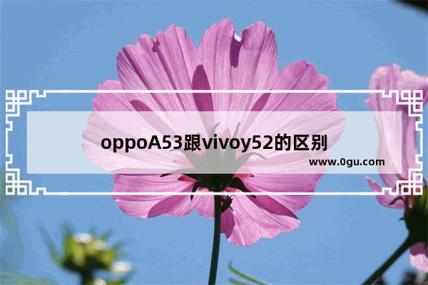 oppoA53跟vivoy52的区别