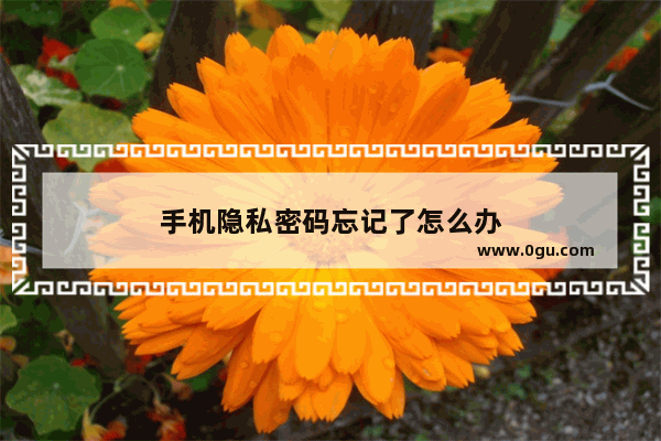 手机隐私密码忘记了怎么办