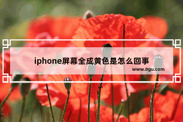 iphone屏幕全成黄色是怎么回事