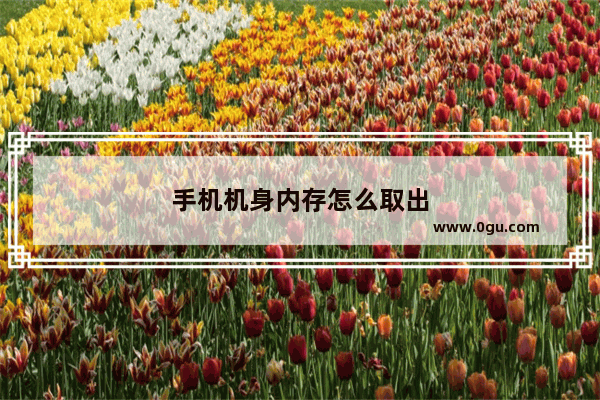 手机机身内存怎么取出