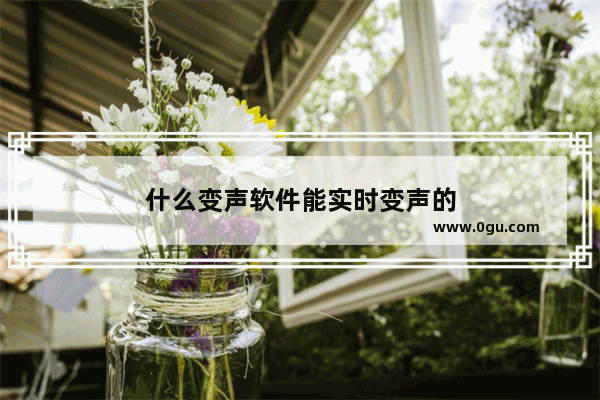 什么变声软件能实时变声的