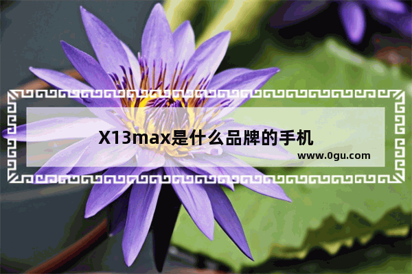 X13max是什么品牌的手机