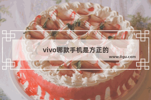 vivo哪款手机是方正的