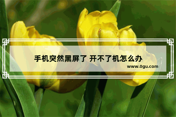手机突然黑屏了 开不了机怎么办