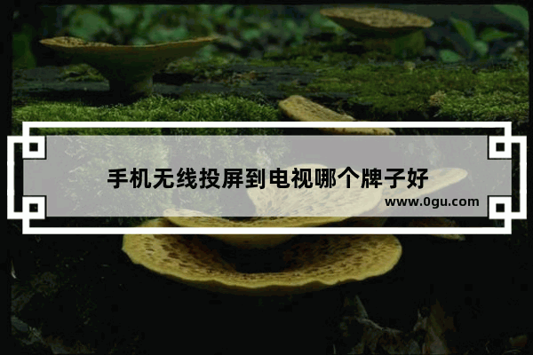手机无线投屏到电视哪个牌子好