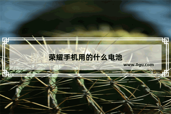 荣耀手机用的什么电池